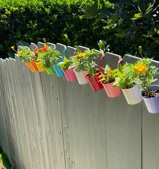 colorful pots filled with plants, hanging on a fence