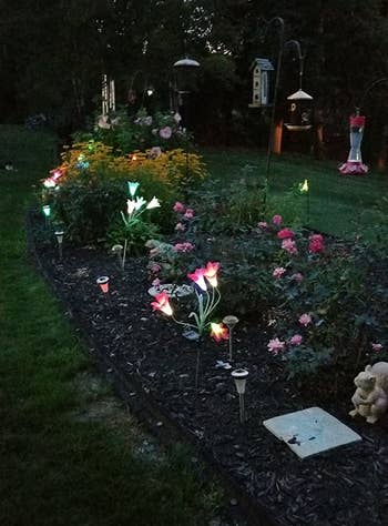 the light up flowers stuck into a flower bed, starting to glow as night falls