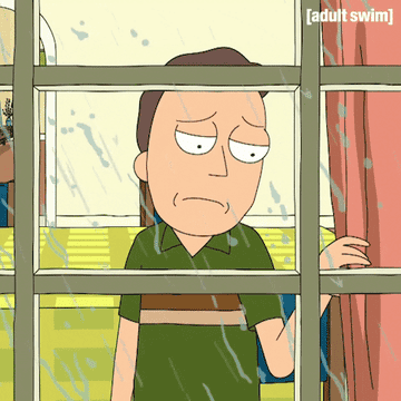 jerry from rick and morty looking sadly out a window
