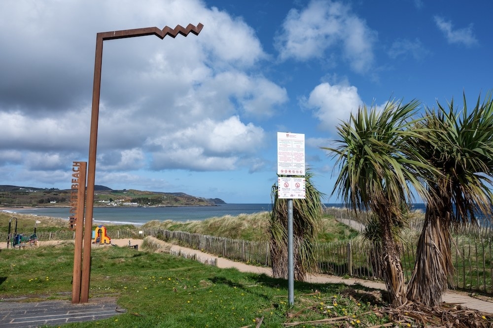 Palm trees along the beach in Ireland