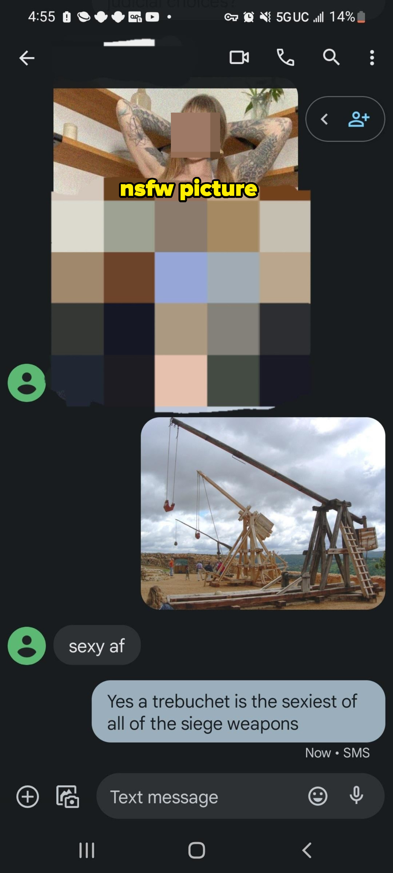 someone sends a nsfw pic and they send a pic of a trebuchet back