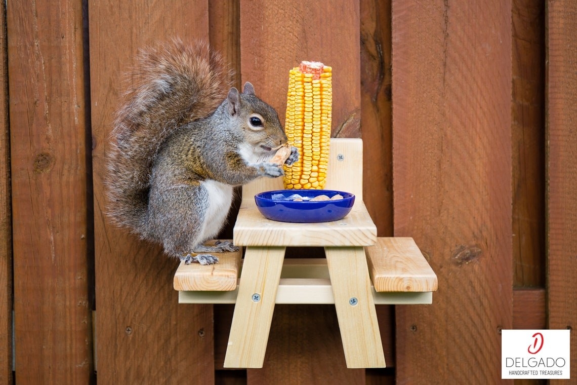 一个木制的迷你野餐桌上有一只松鼠吃玉米
