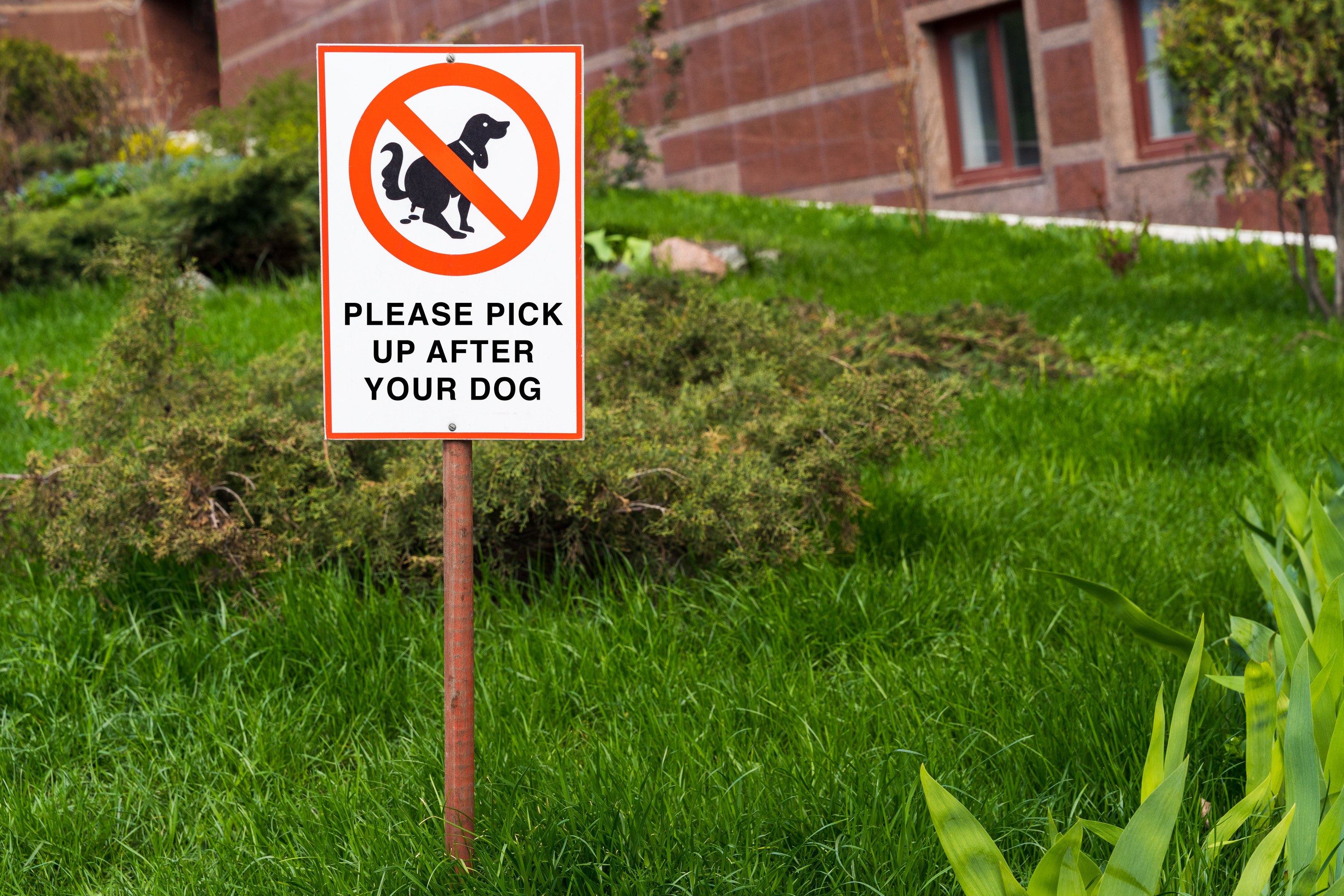 Yard sign that says please pick up after your dog