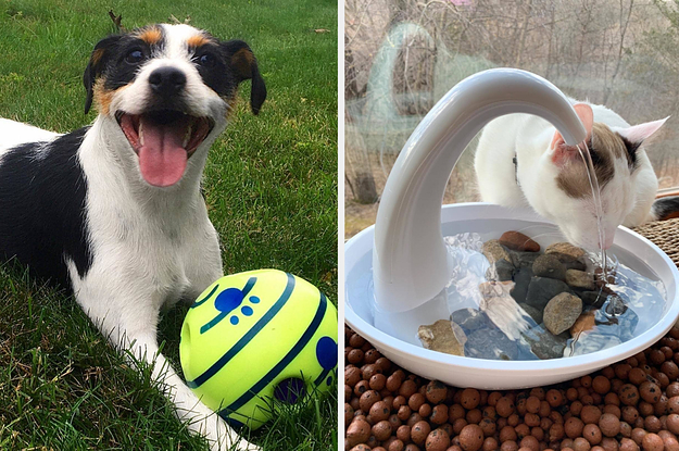 24 TikTok-Famous Products Your Pet Would Definitely Save To Their Favorites