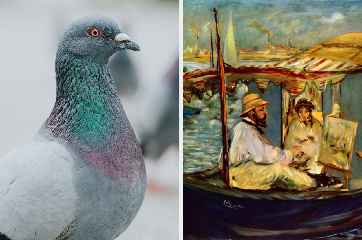 side by side of a pigeon and a painting