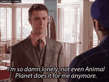 Kirk saying &quot;I&#x27;m so damn lonely, not even Animal Planet does it for me anymore&quot;