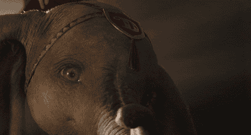 GIF dumbo the elephant holding a feather