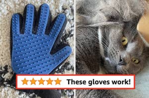 the blue deshedding glove; buzzfeeder's cat with a pile of fur on their head