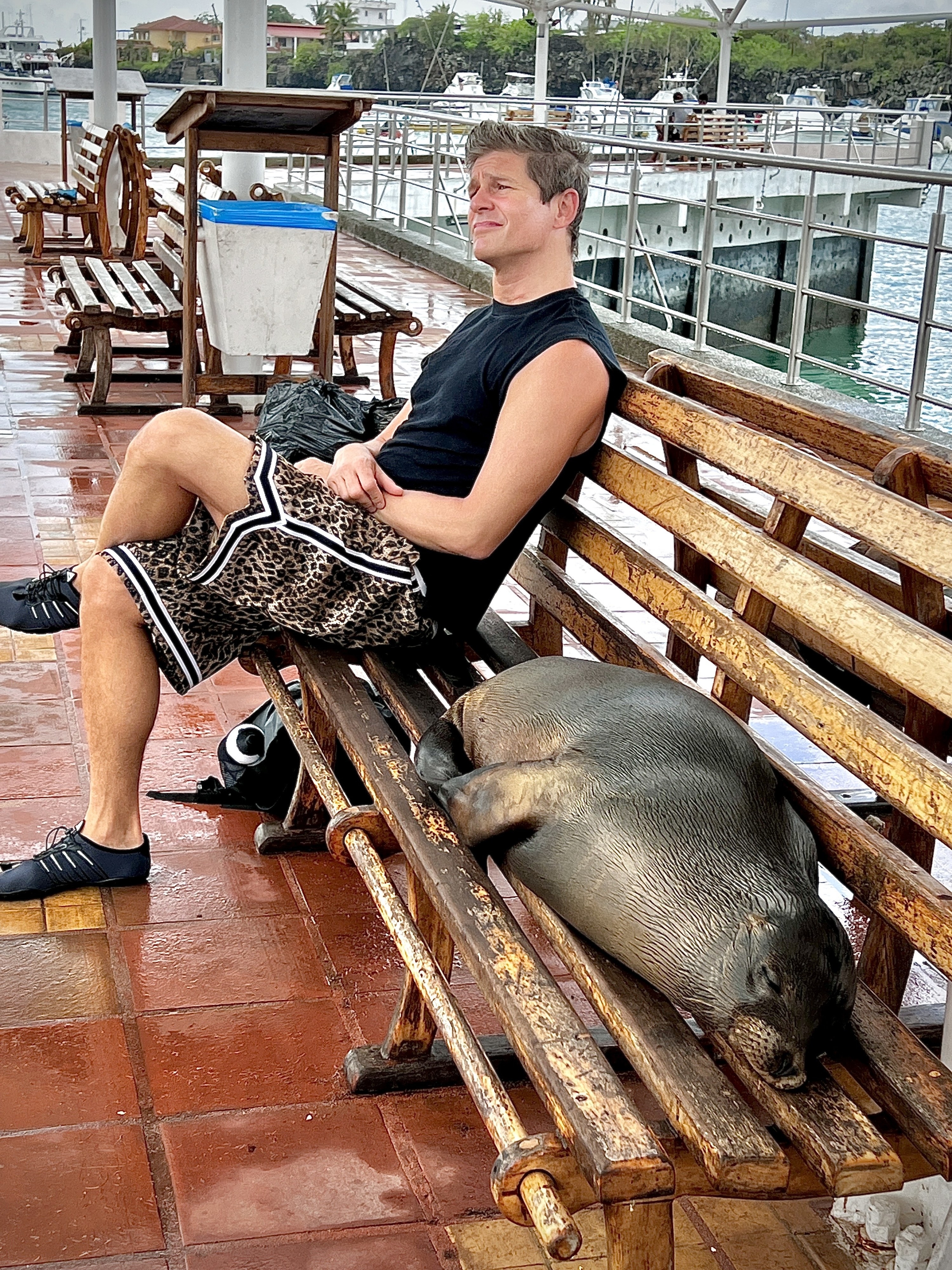 A man and sea lion together on a bench by the water