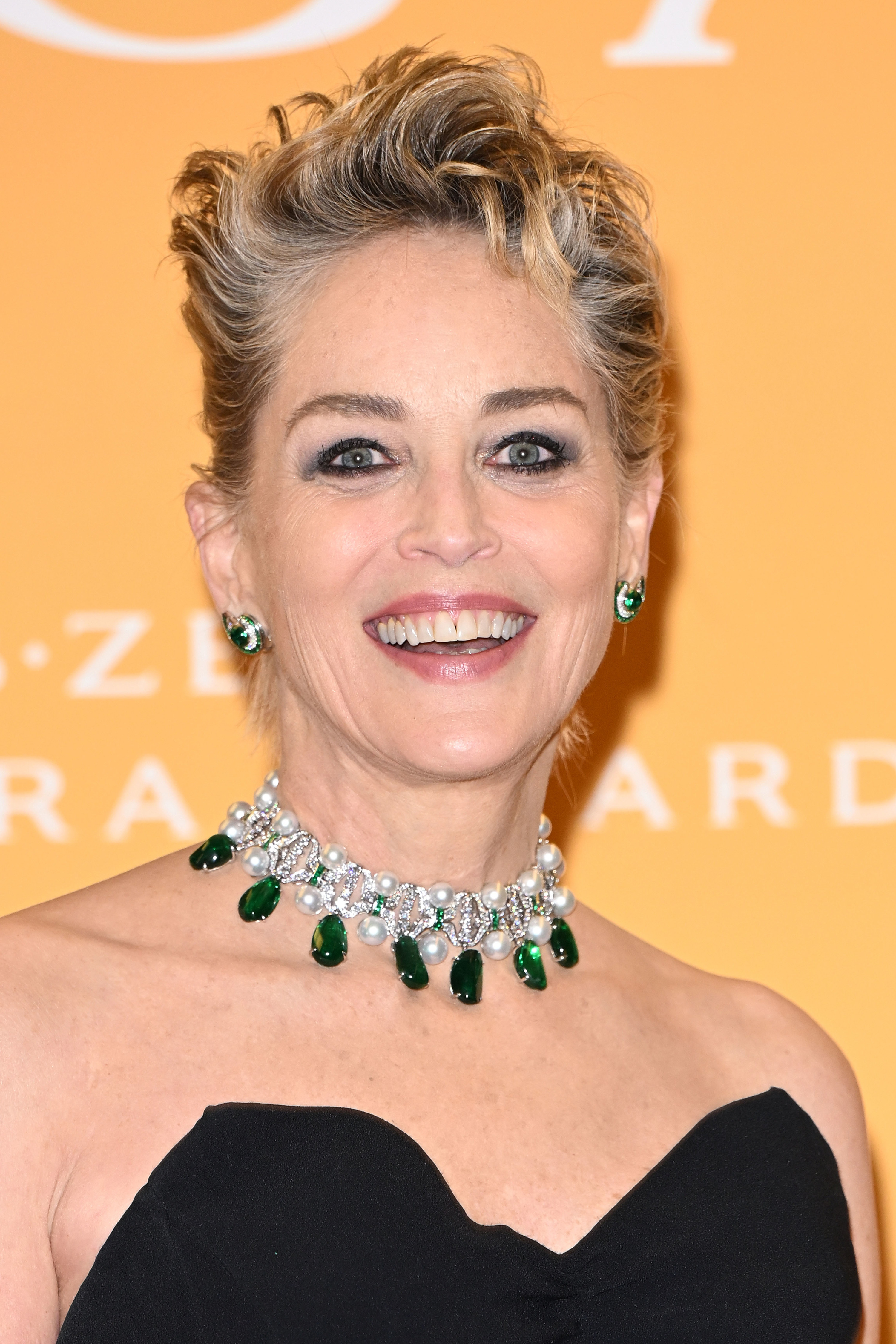 Sharon Stone smiles at an event