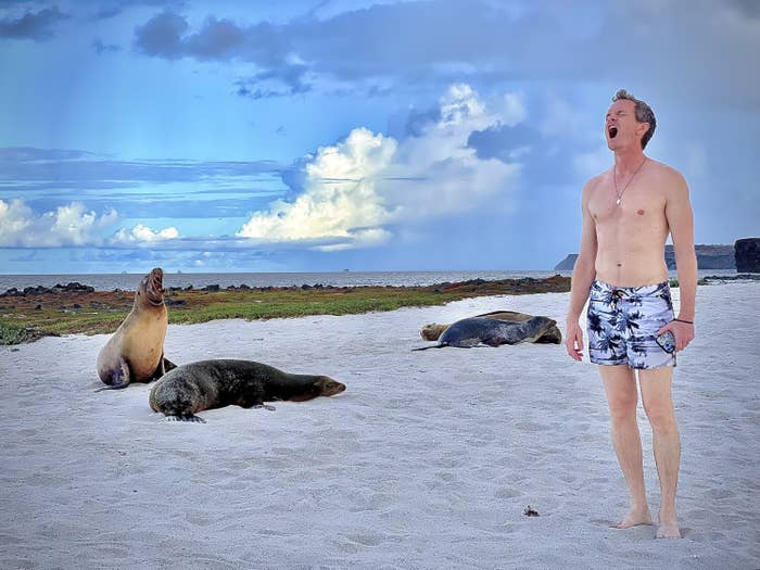 A man stands next to sea lions