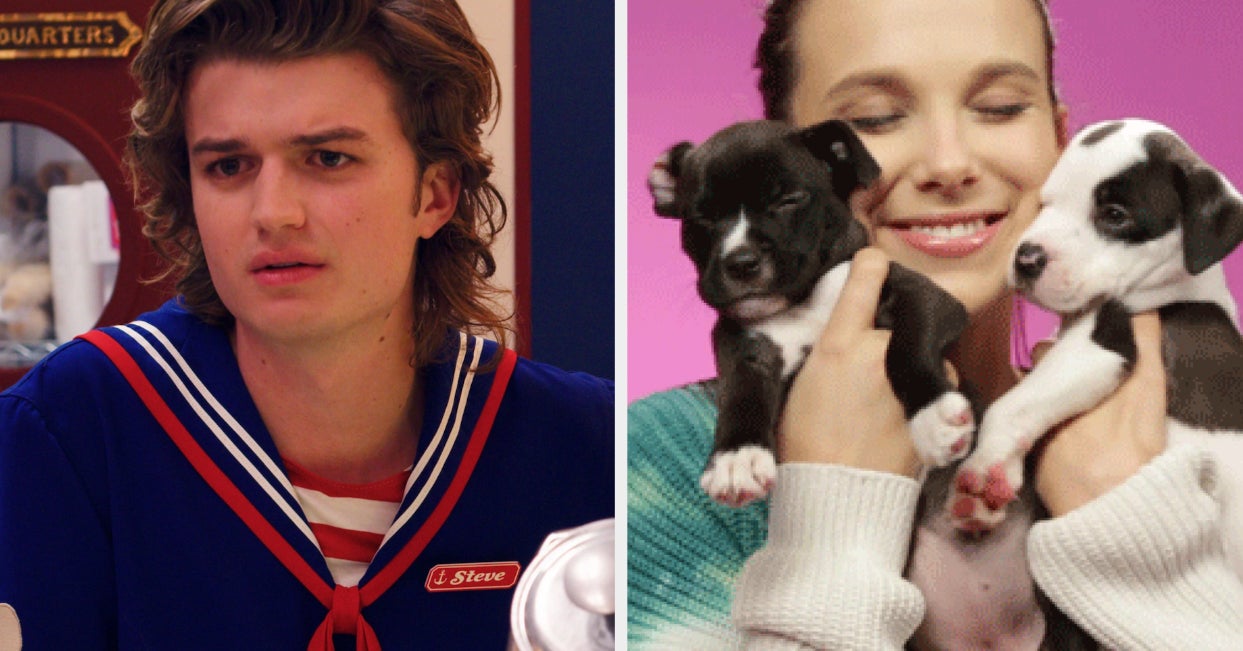 The "Stranger Things" Cast Is Gonna Play With Puppies, So We Want To Know ALL Your Questions For Them