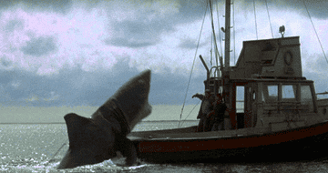 GIF shark attacking boat