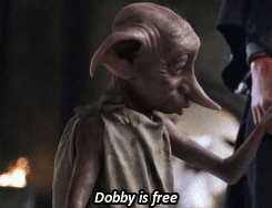 GIF cgi elf saying dobby is free