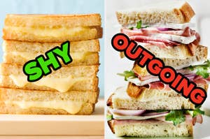 Grilled cheese is on the left labeled, "shy" with a turkey club labeled, "outgoing"