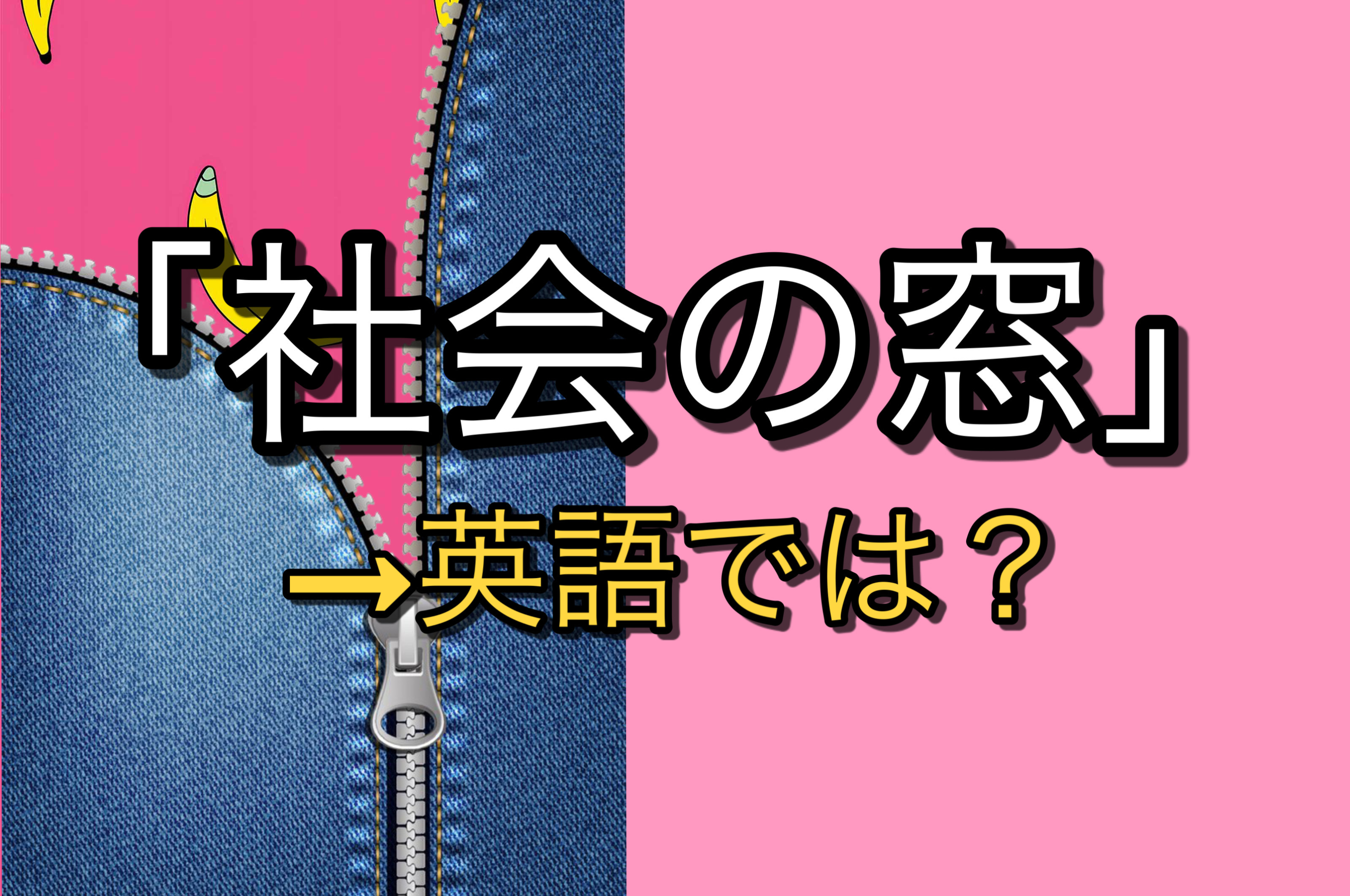 社会の窓 って英語で言えますか 実は ウィンドウ じゃないんです