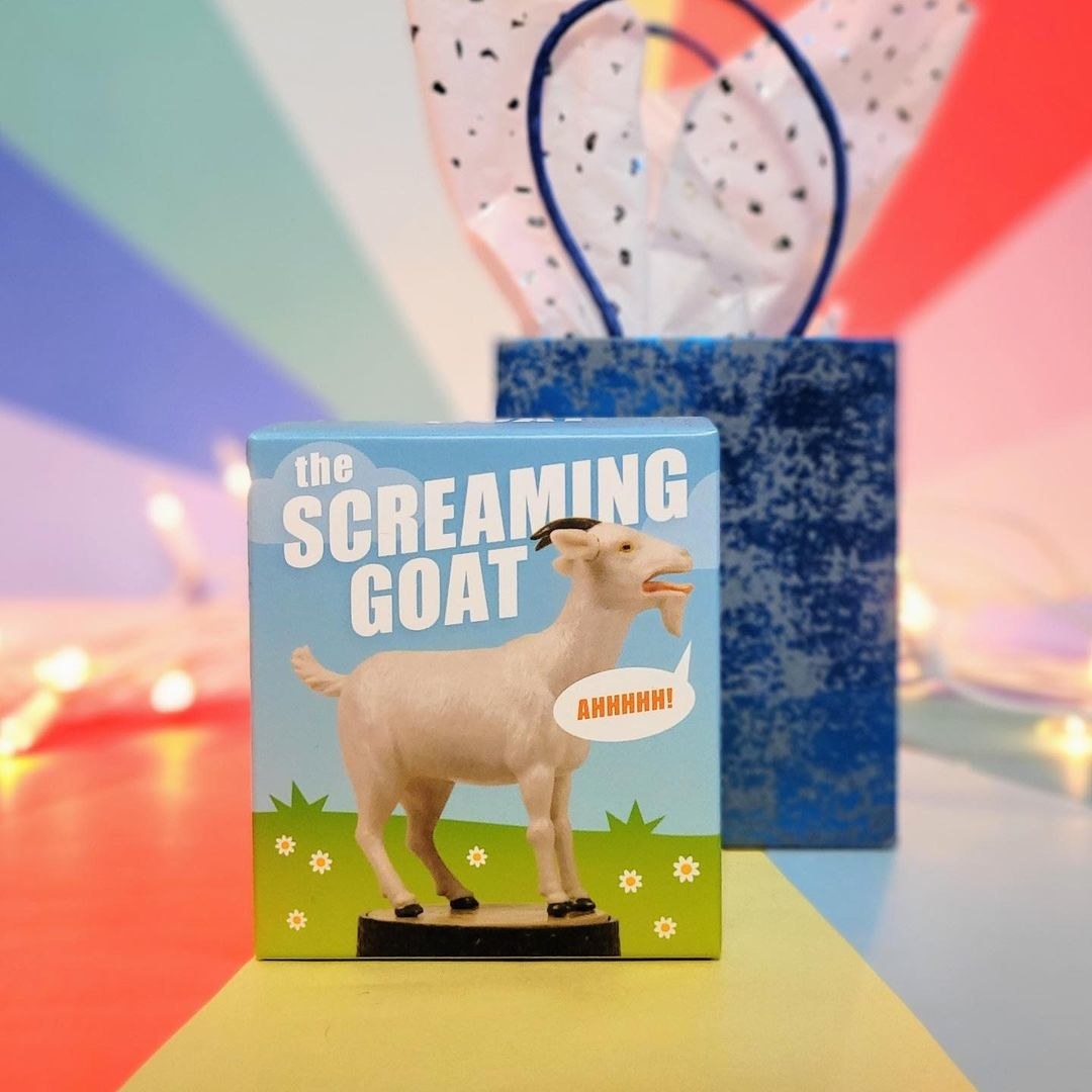 The screaming goat in its box in front of a gift bag