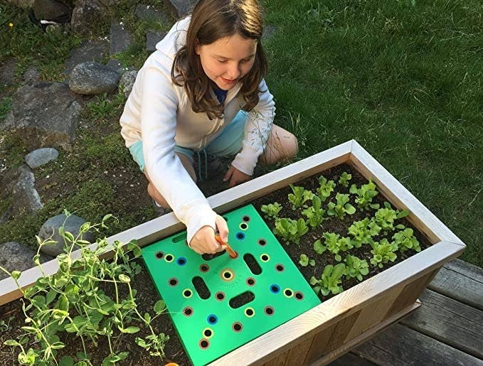 A person using the seed spacer in a raised garden box