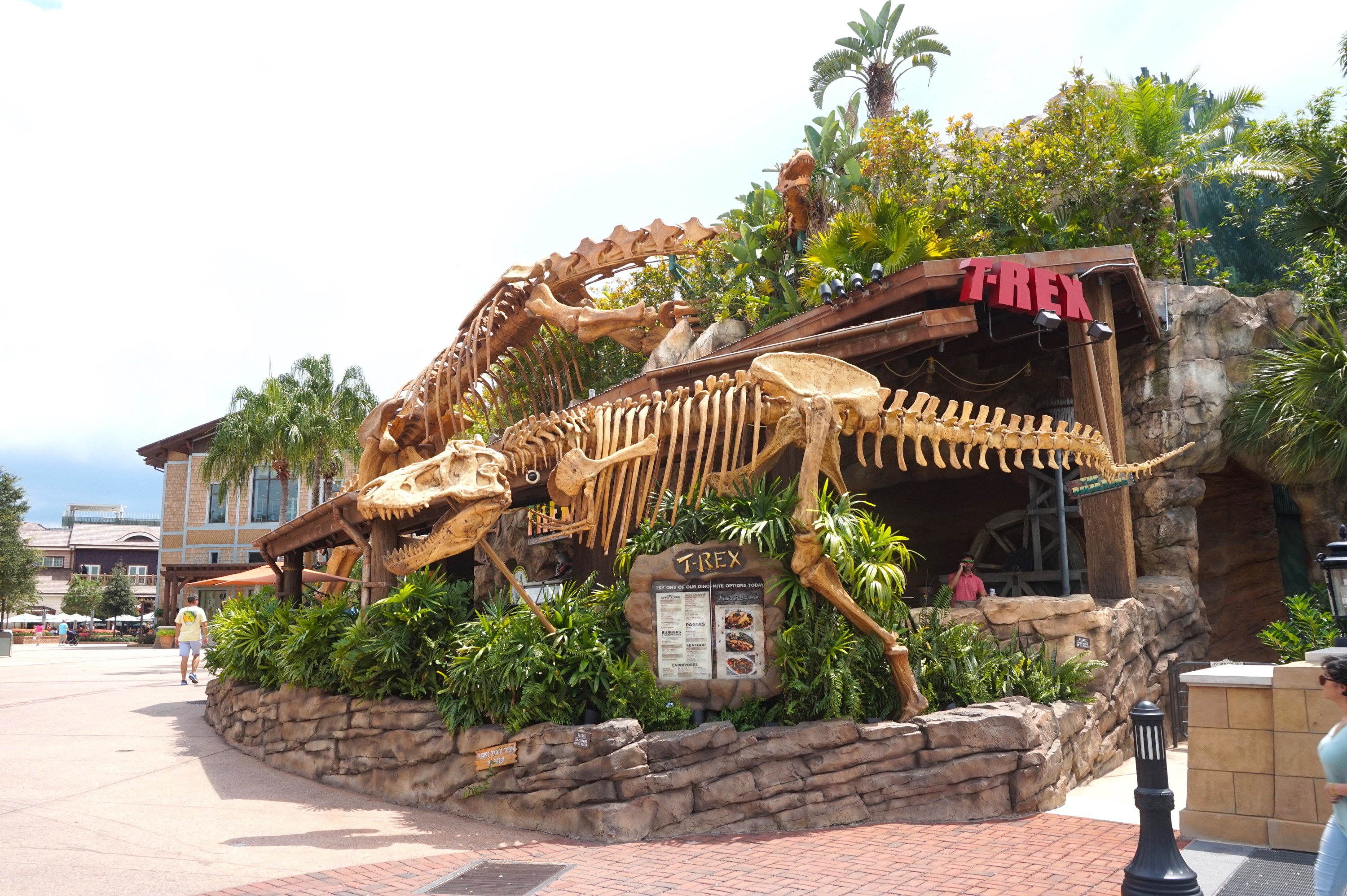 咖啡馆有一个很大的霸王龙骨骼外的复制品