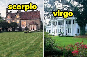 scorpio and virgo house