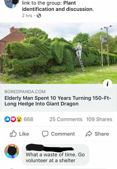 a man spends 10 years turning his hedges into a dragon and a troll saying it was a waste of time