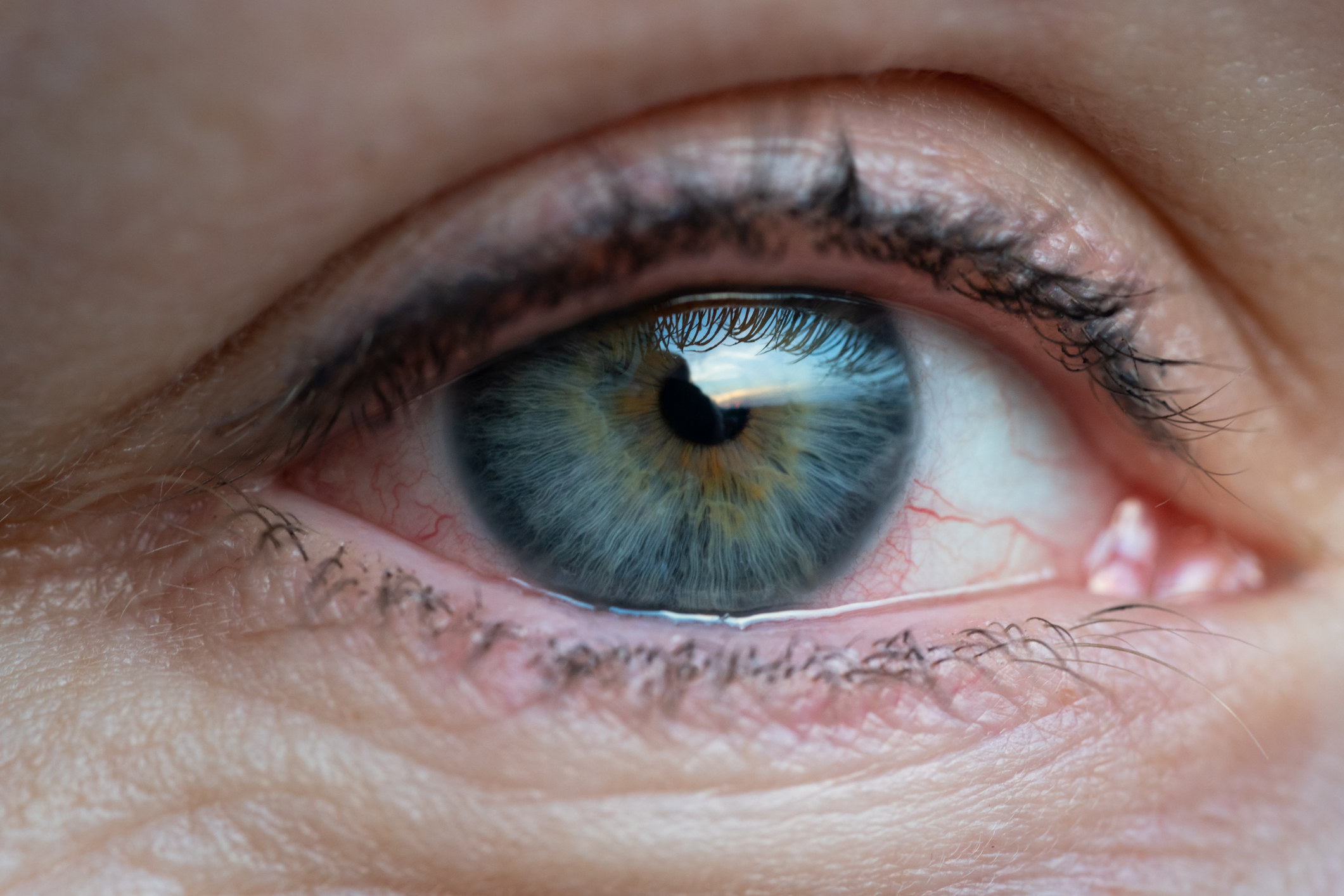 Closeup of a human eye