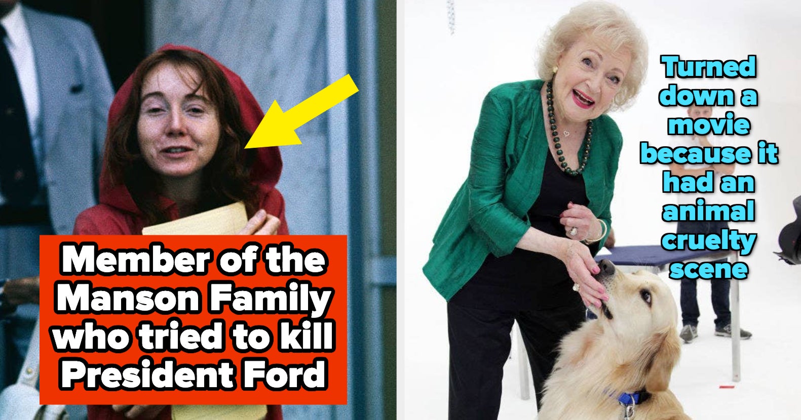 21 Facts That Are So Interesting That They Almost Broke My Brain