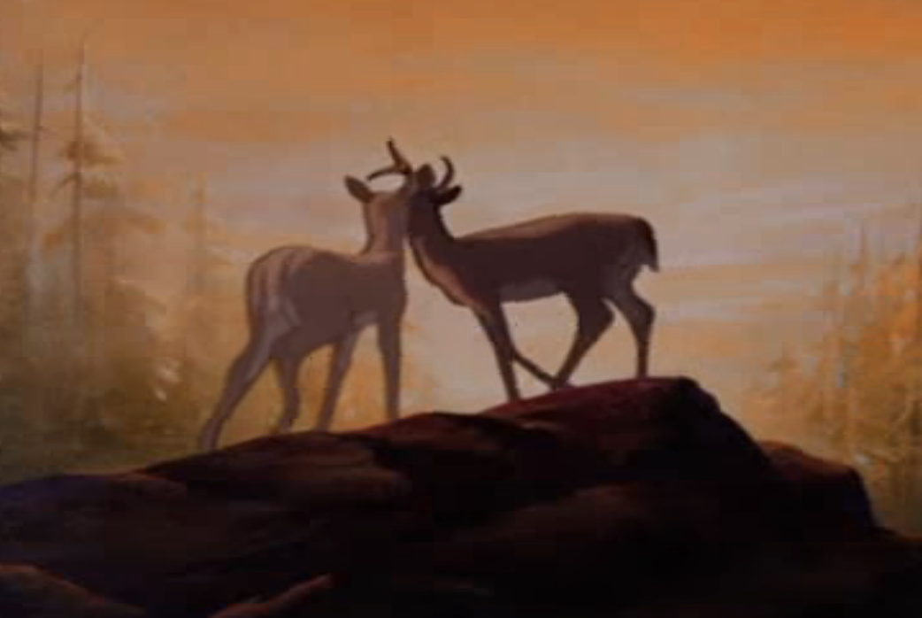 两个鹿在山顶