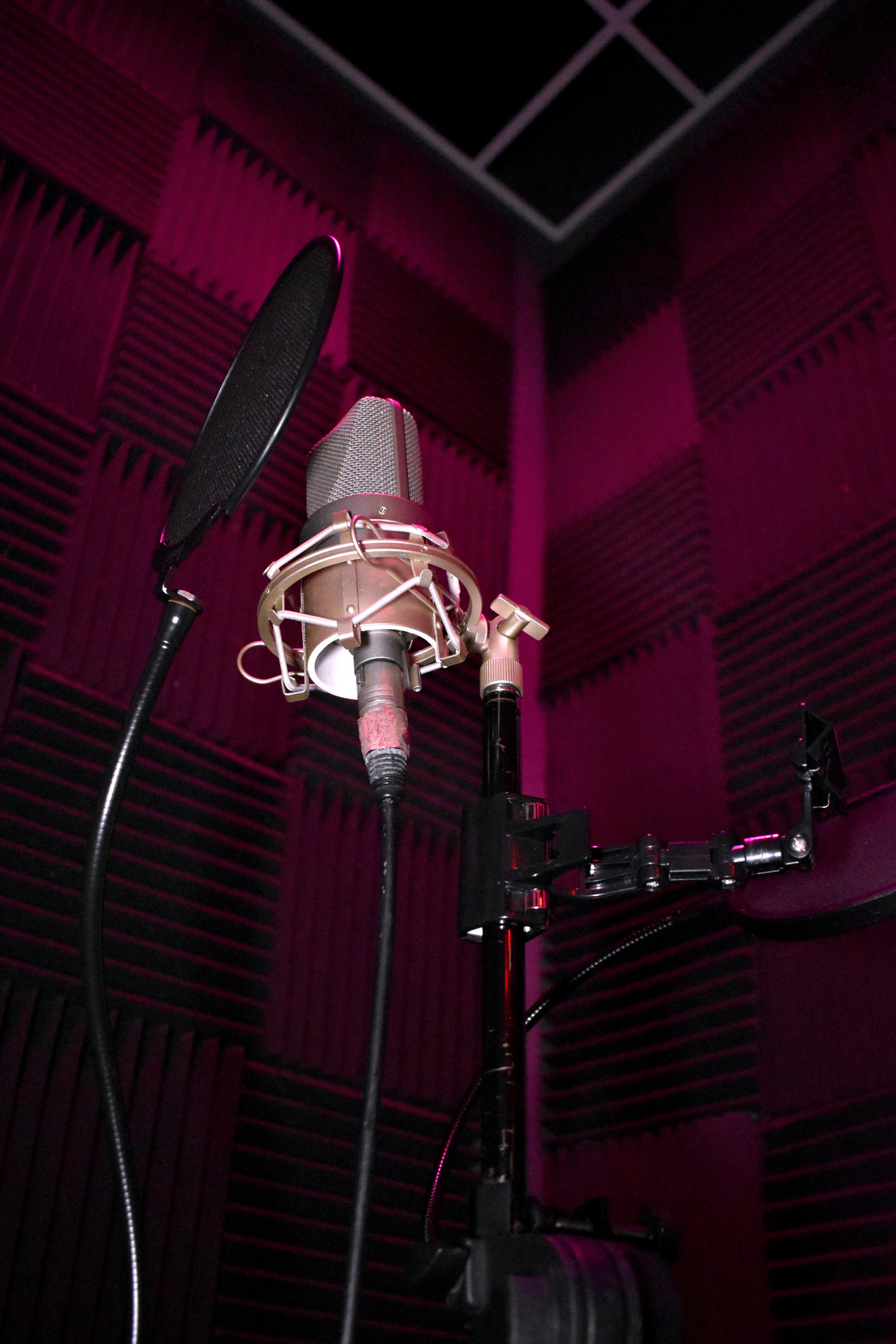A microphone set up in a voiceover booth