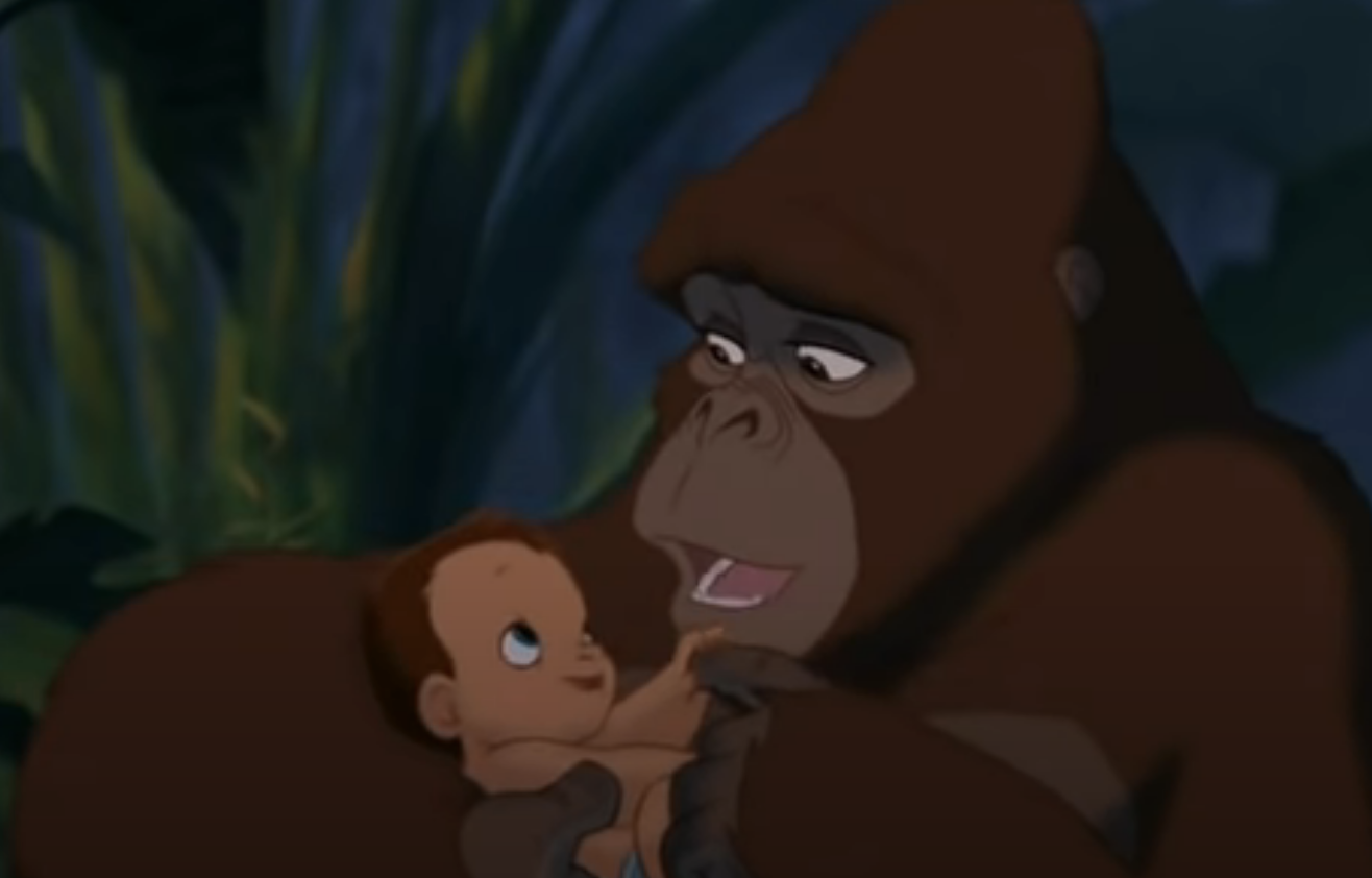 妈妈猿和婴儿泰山