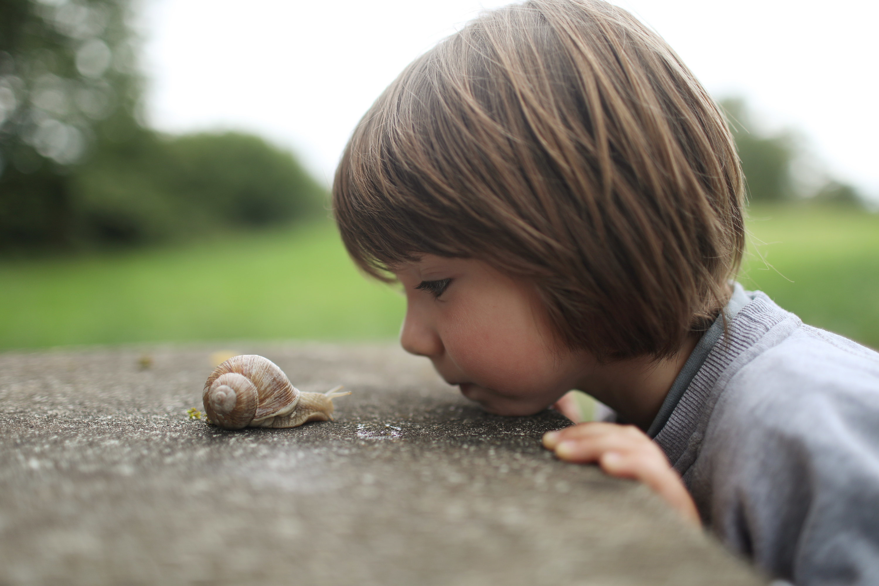 A child looking a snail