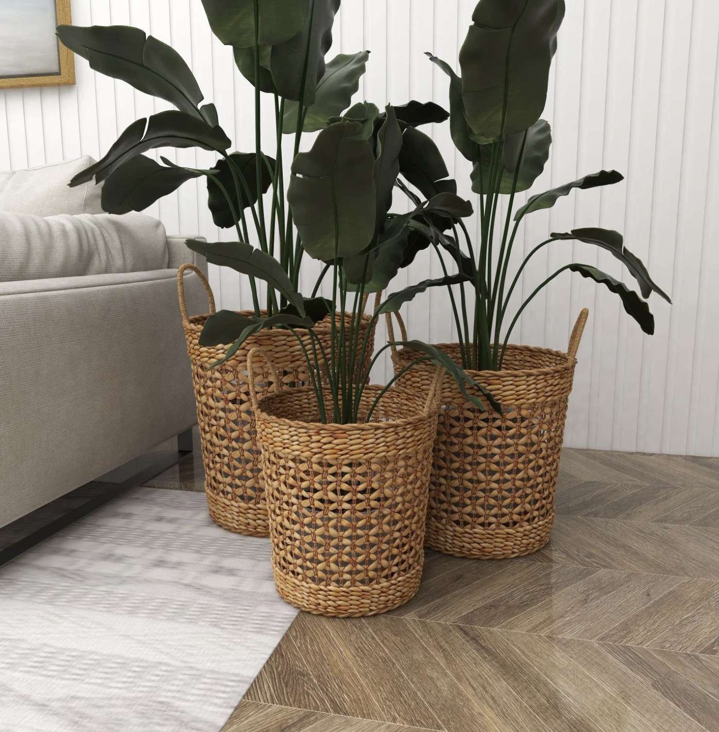 The three baskets with plants in them