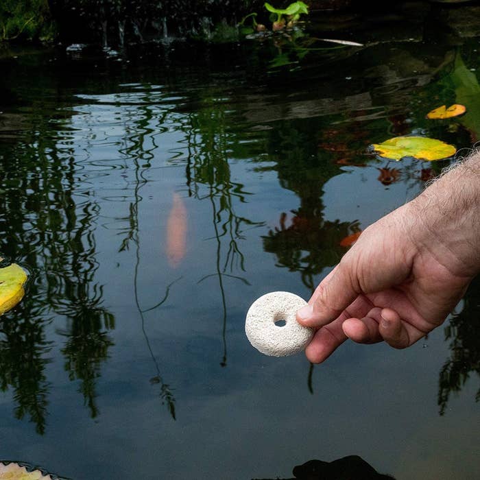 hand holds doughnut shaped tablet over koi pond
