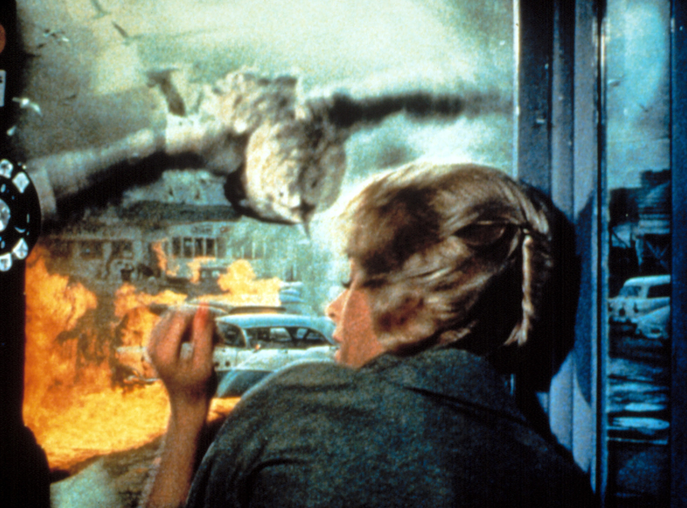 The 24 Best Animal Attack Horror Movies, Ranked