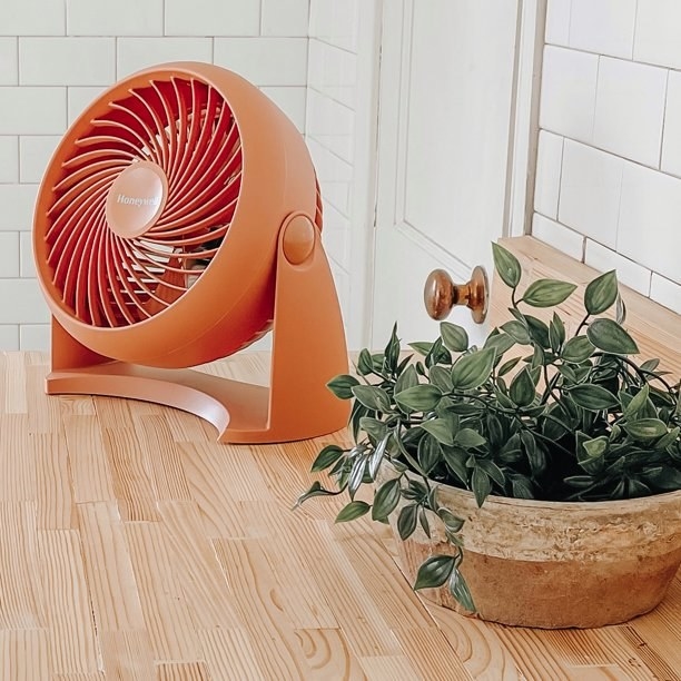the fan in orange