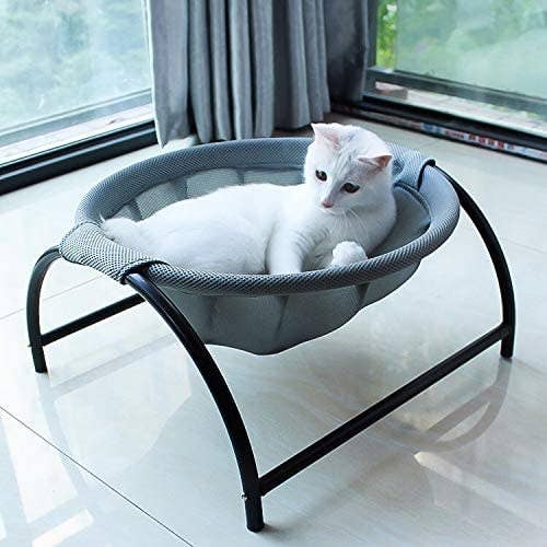 a cat lounging in the mounted hammock