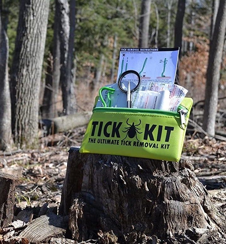 The tick kit pouch on a tree stump in a forest