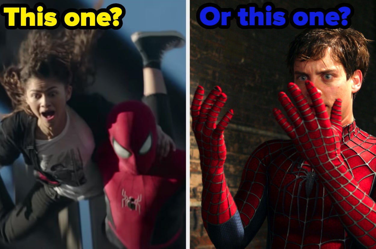 Two Spider-Mans face each other labeled, "this one? or this one?"