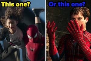 Two Spider-Mans face each other labeled, "this one? or this one?"