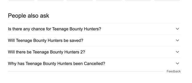 Google results that all relate to asking if there will be more Teenage Bounty Hunters or why it was canceled