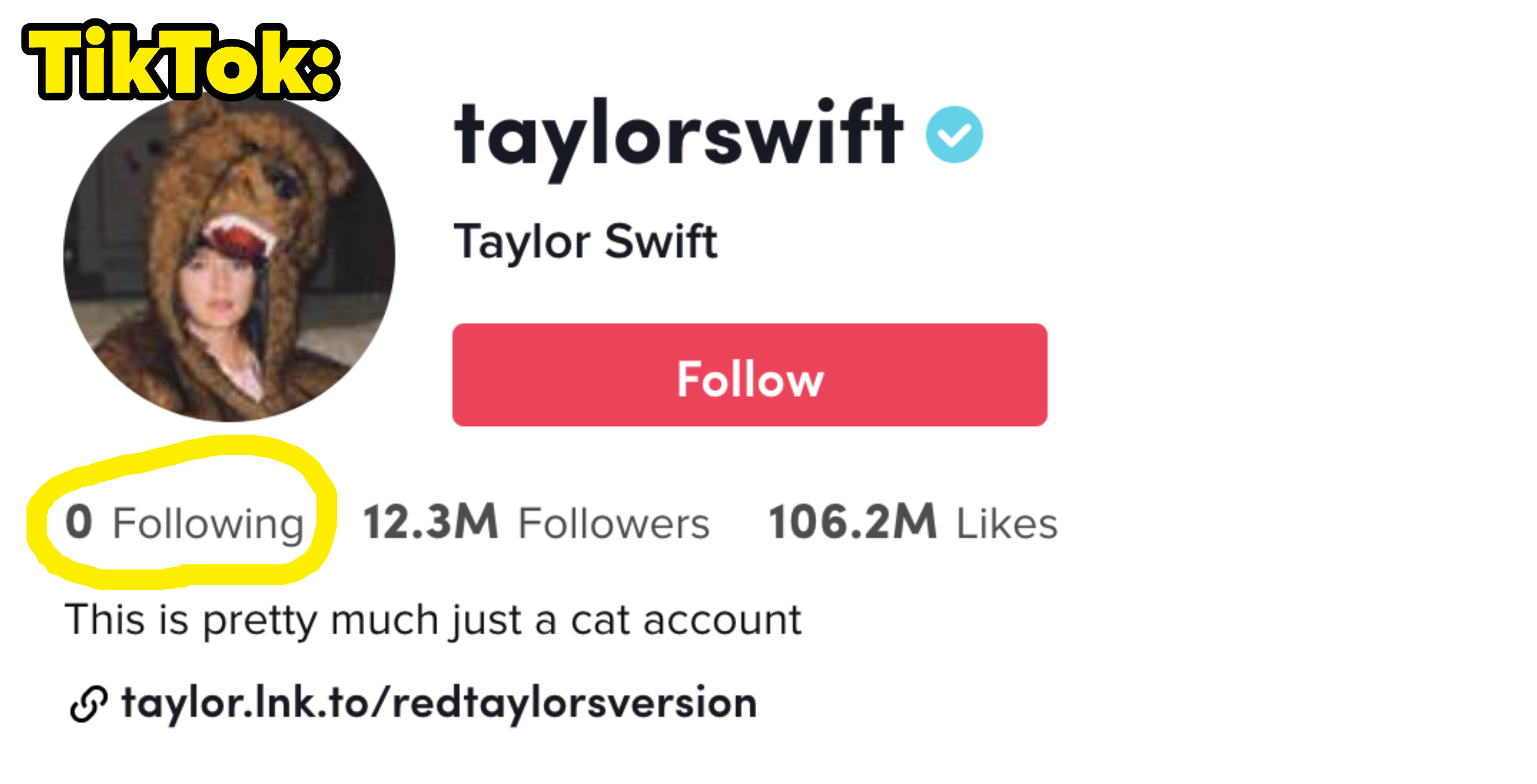 Taylor Swift following 0 people on TikTok
