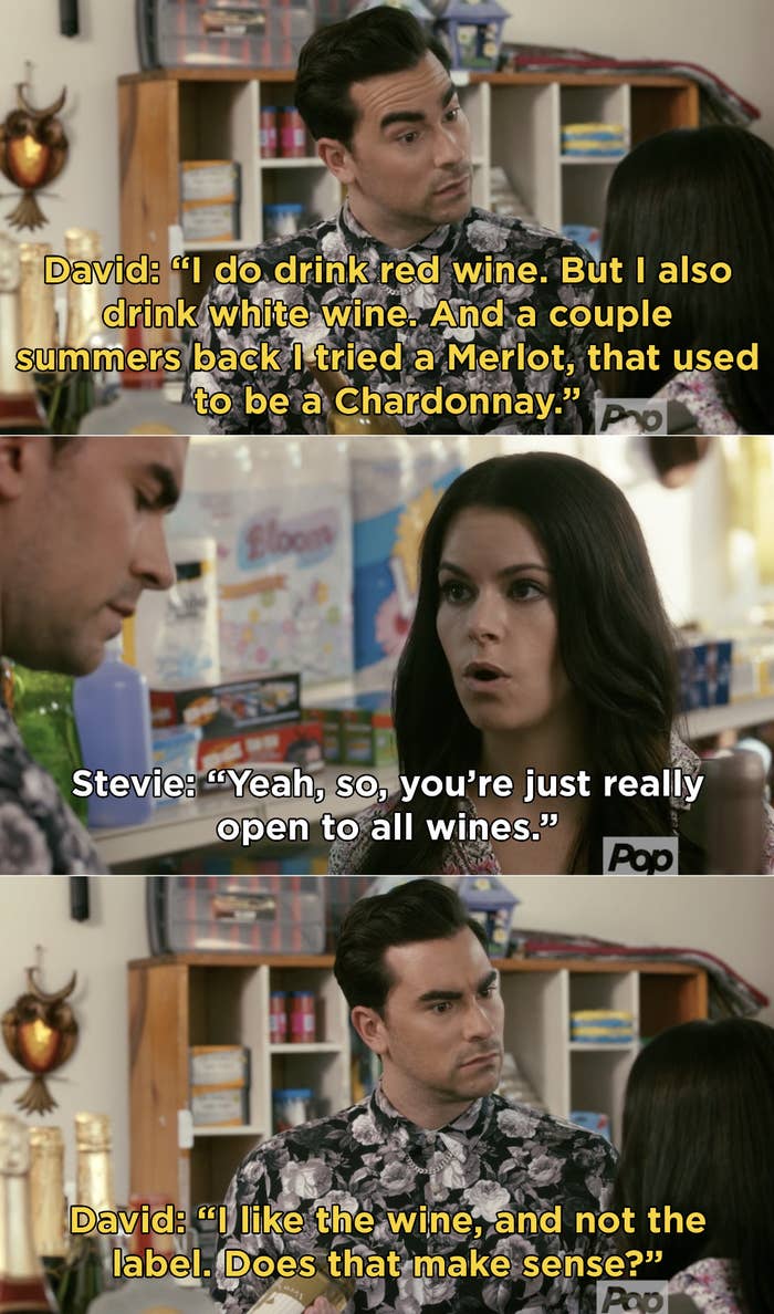 David explaining that he&#x27;s tried a lot of different wines and at the end of the day, he likes the wine and not the label (aka he&#x27;s pansexual)