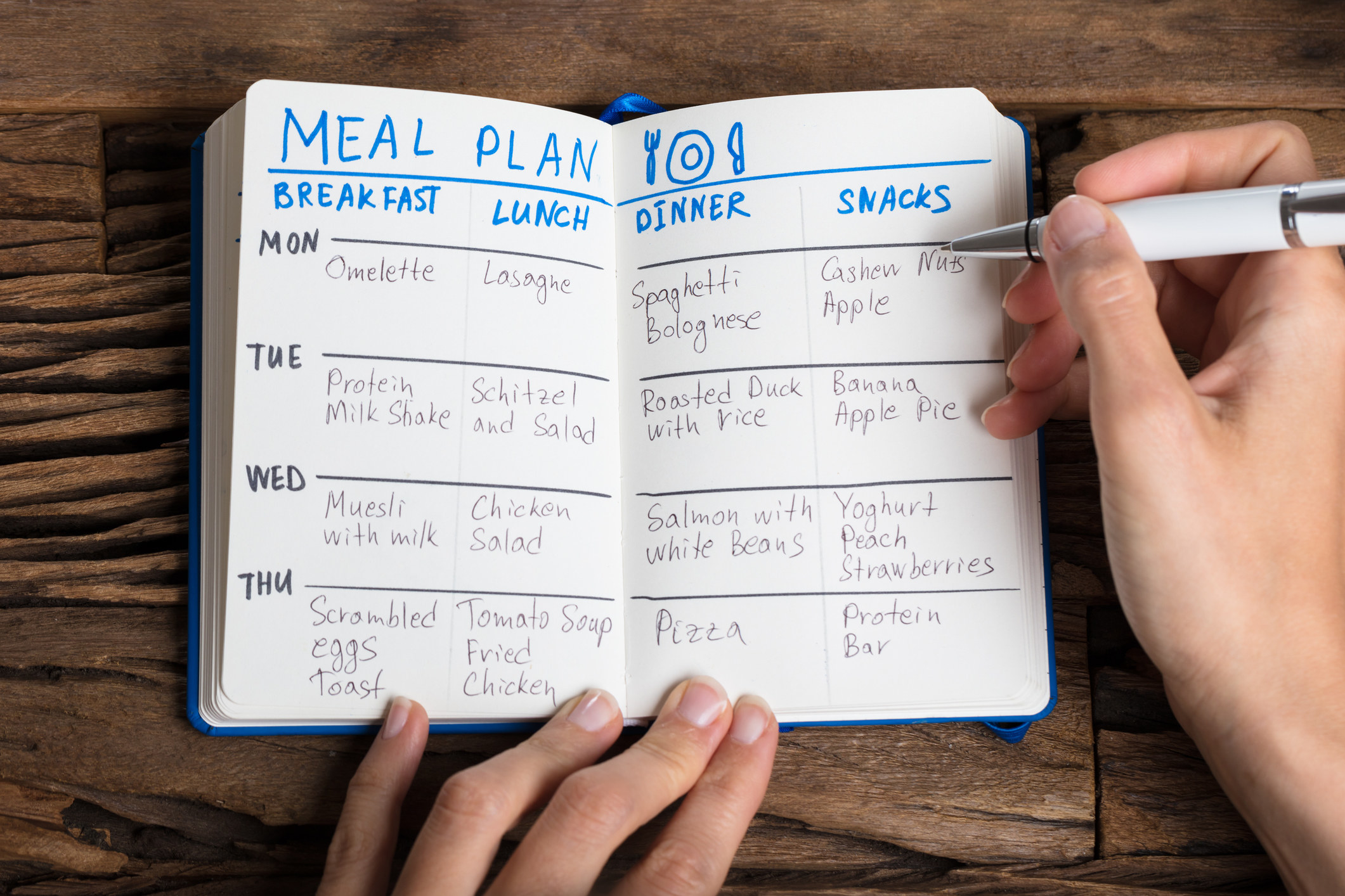 meal plan journal