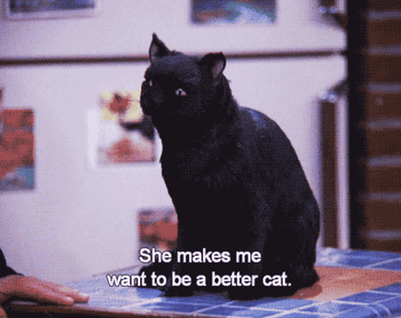 Black cat voiced by Nick Bakay saying, &quot;She makes me want to be a better cat&quot;