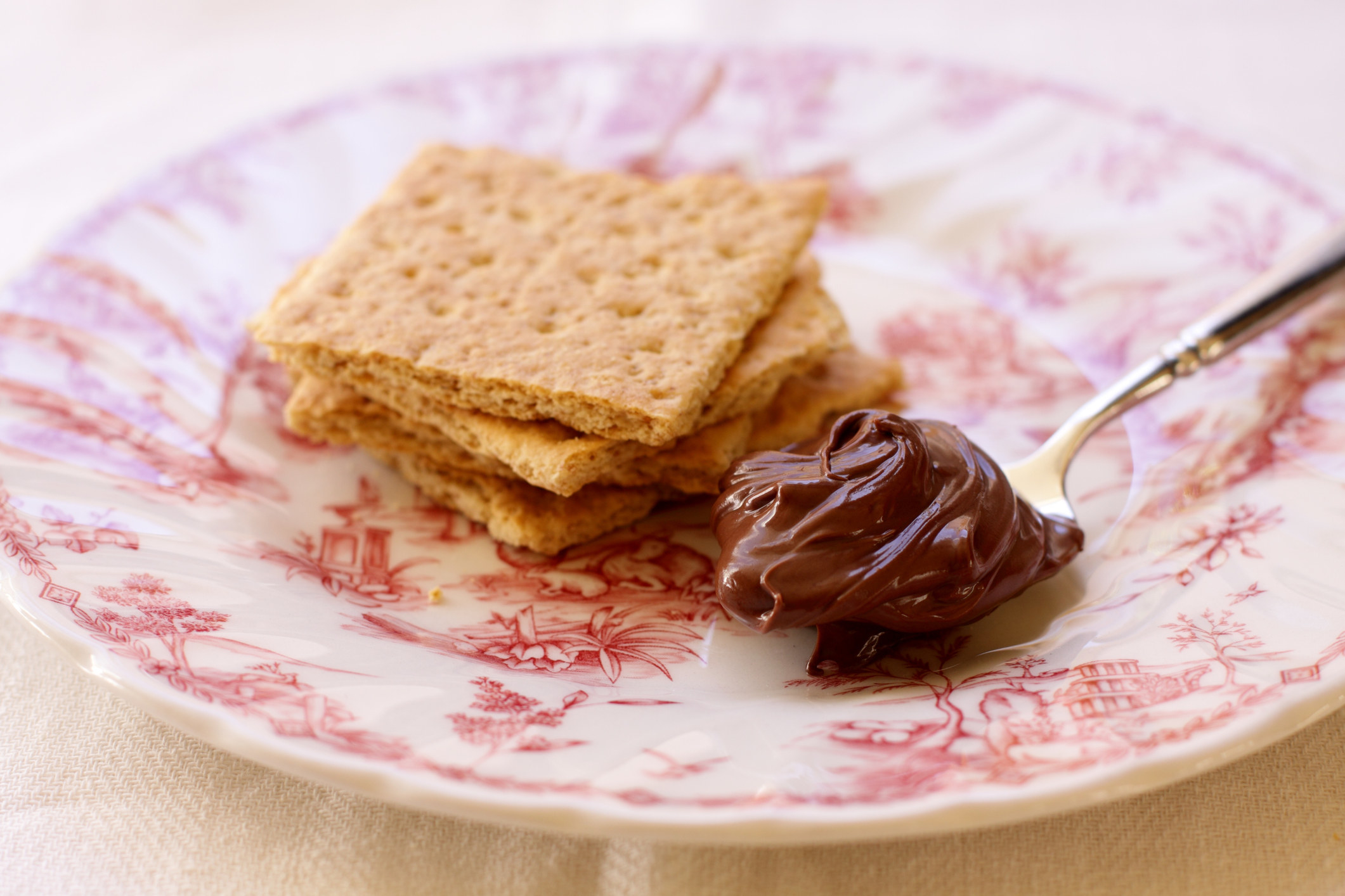 Creamy chocolate hazelnut spread on a spoon with graham crackers.