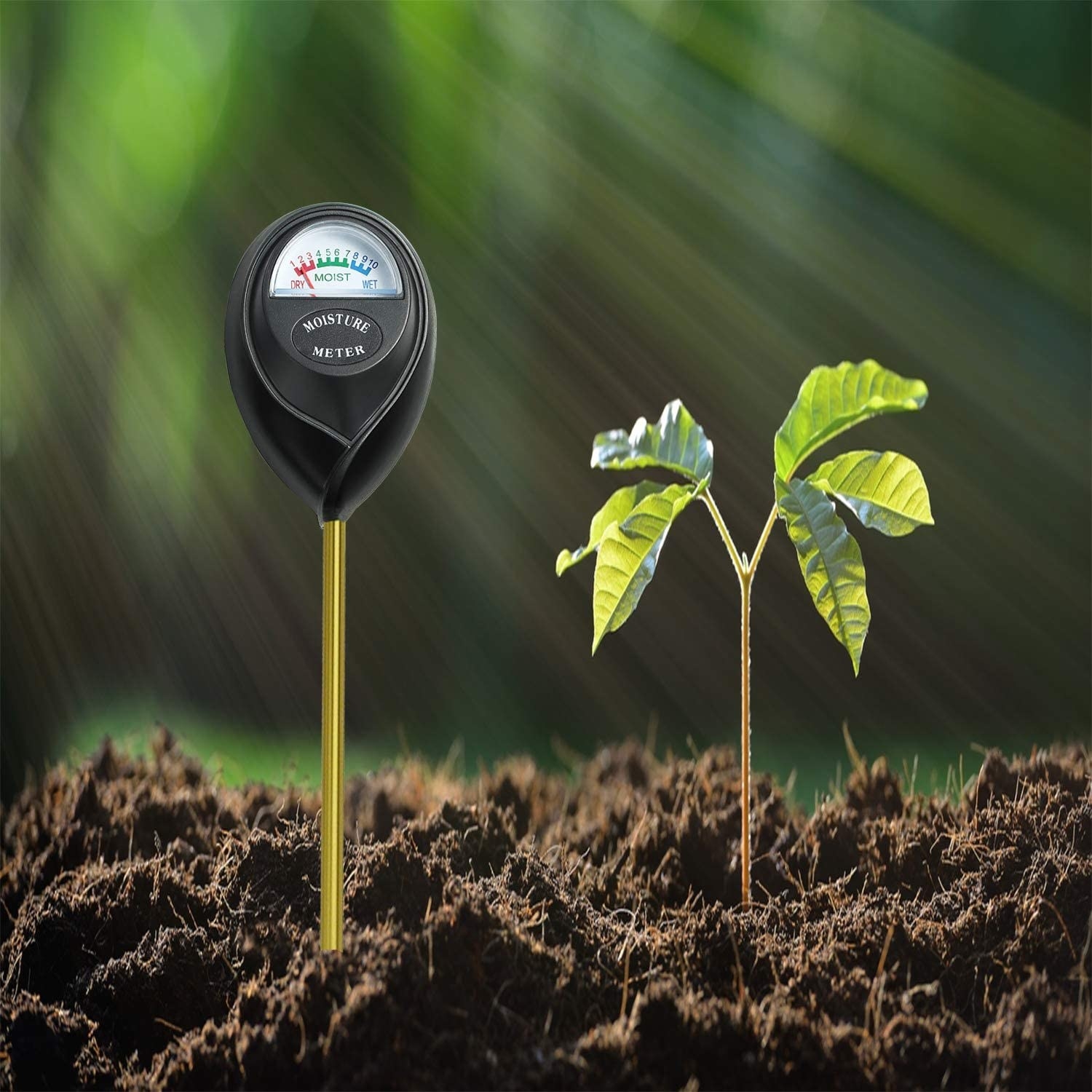 The meter next to a sprout in the soil