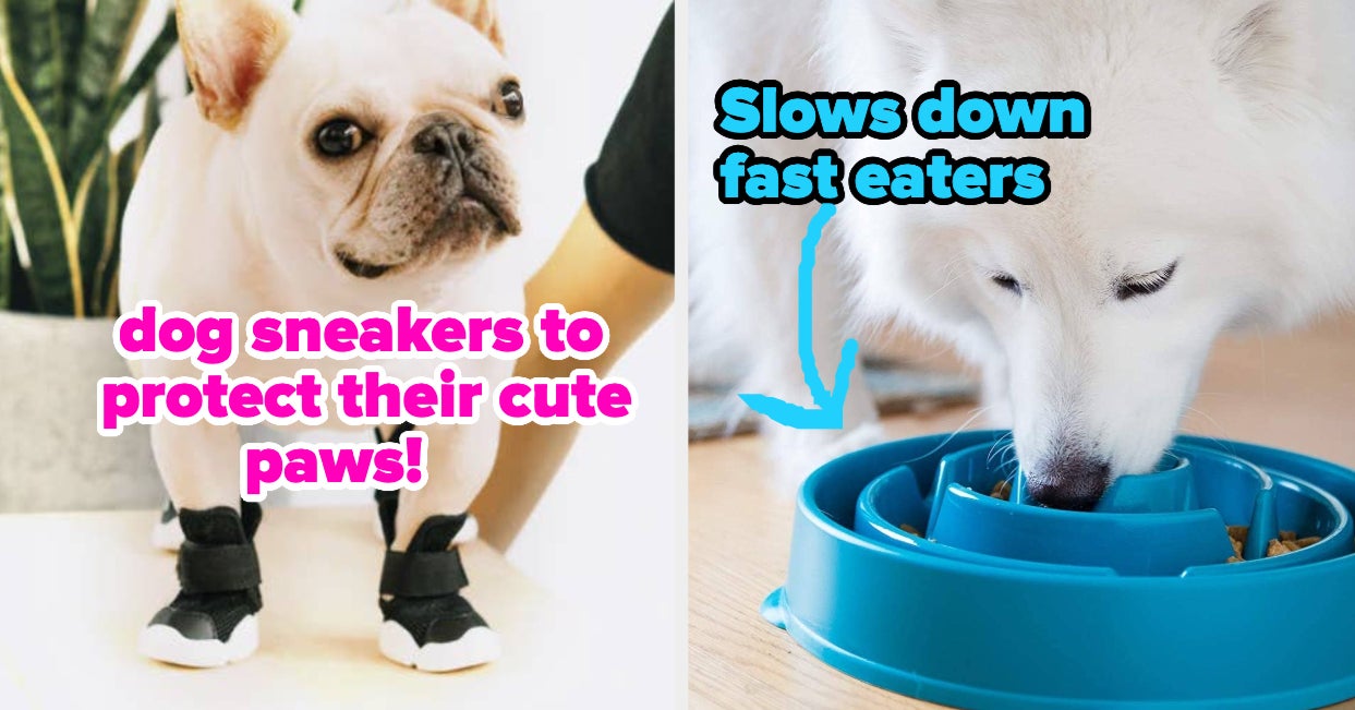 31 Problem-Solving Products For Dog Owners Who Want To Make Their Pup’s Life Easier