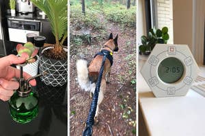 plant mister, hands free leash and timer
