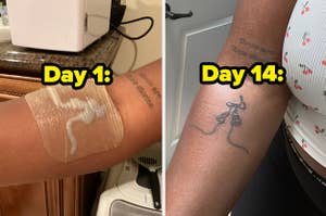 An ephemeral tattoo on day 1 and day 14