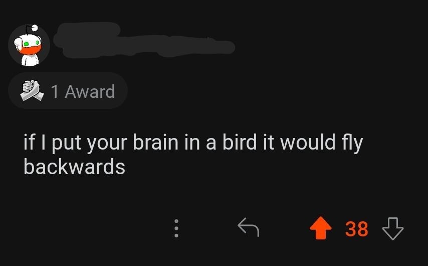 text reading if i put your brain in a bird it would fly backwards